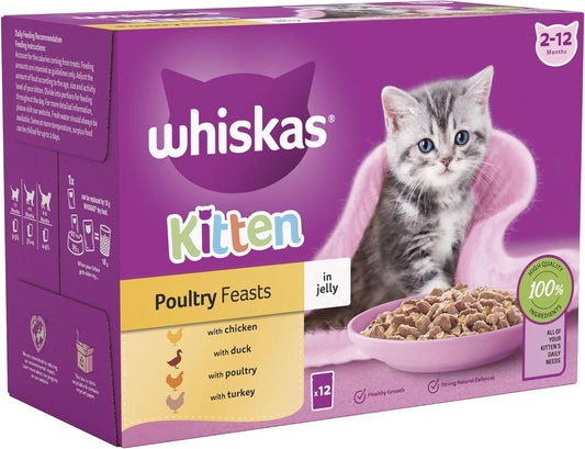 Whiskas Junior Poultry Selection in Jelly | 48 x 85g Megapack (Pack of 4 x 12)