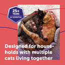 FELIWAY Friends 30 Day Cat Calming Plug In Pheromone Diffuser Starter Kit, 48ml - Helps create harmony and resolve conflict in multi cat households, Veterinary Recommended, Clinically Proven