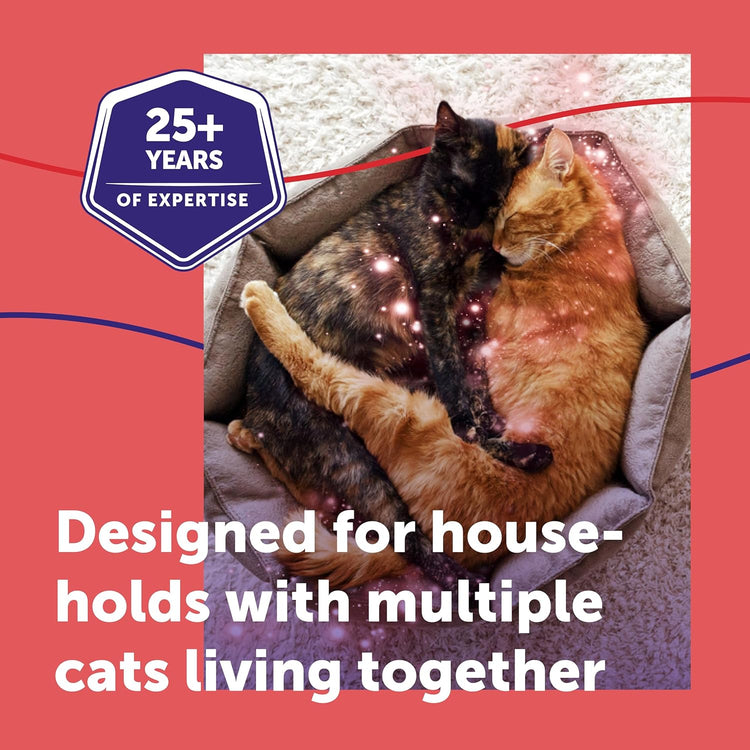 FELIWAY Friends 30 Day Cat Calming Plug In Pheromone Diffuser Starter Kit, 48ml - Helps create harmony and resolve conflict in multi cat households, Veterinary Recommended, Clinically Proven