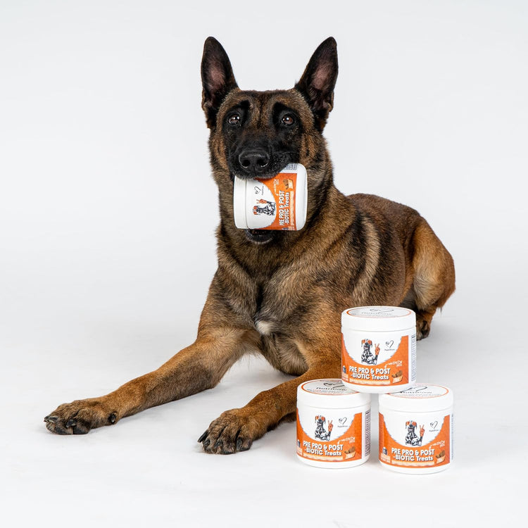 NutriPaw Pre, Pro & Postbiotic Treats For Dogs - Gut & Digestive Health, Sensitive Tums, Anal Glands & Bum Scooting, Loose Stools, Waxy, Smelly & Itchy Ears, Digestive Enzymes