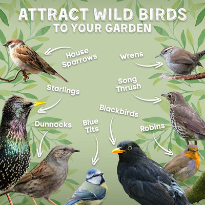 Copdock Mill Wild Bird Seed & Grain Mix 20kg Bag All Year Round High Energy Wild Bird Food 100% Natural Ingredients Including Sunflower Seeds and Peanuts