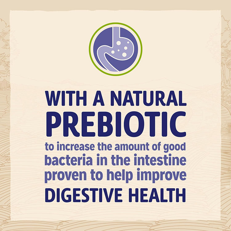 Beta Adult Rich In Chicken, Dry Dog Food 14Kg