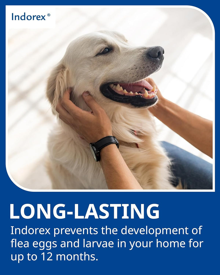 Indorex Defence Household Flea Spray | Protect Home from Fleas & House Dust Mites | Long-Lasting Protection for Up to 12 Months | 500ml Can