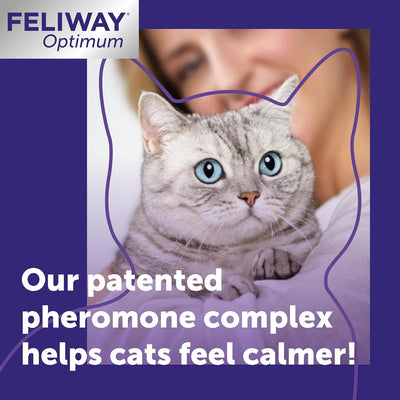 FELIWAY Optimum 30 Day Cat Calming Odourless Refill for Pheromone Diffuser, 48ml - Helps Solve Signs of Stress in Cats & Kittens, Veterinary Recommended, Drug-free, Clinically Proven