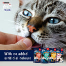 FELIX Mixed Snack Box Cat Treats 810g